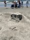 Sand4 - Jeff Lovins.jpg