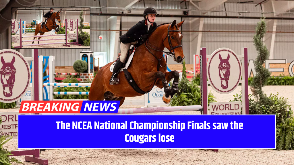 The NCEA National Championship Finals saw the Cougars lose