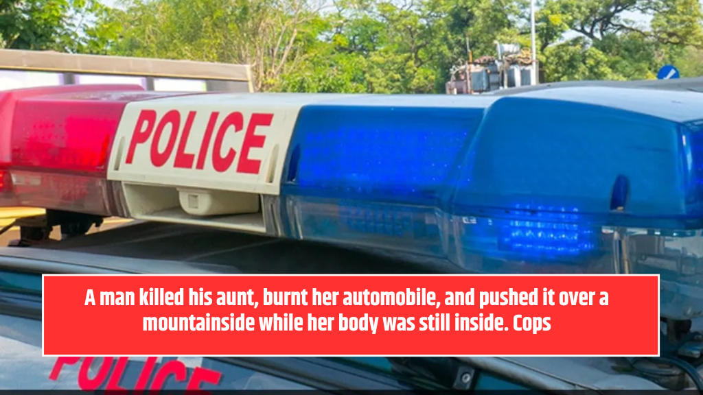 A man killed his aunt, burnt her automobile, and pushed it over a mountainside while her body was still inside. Cops