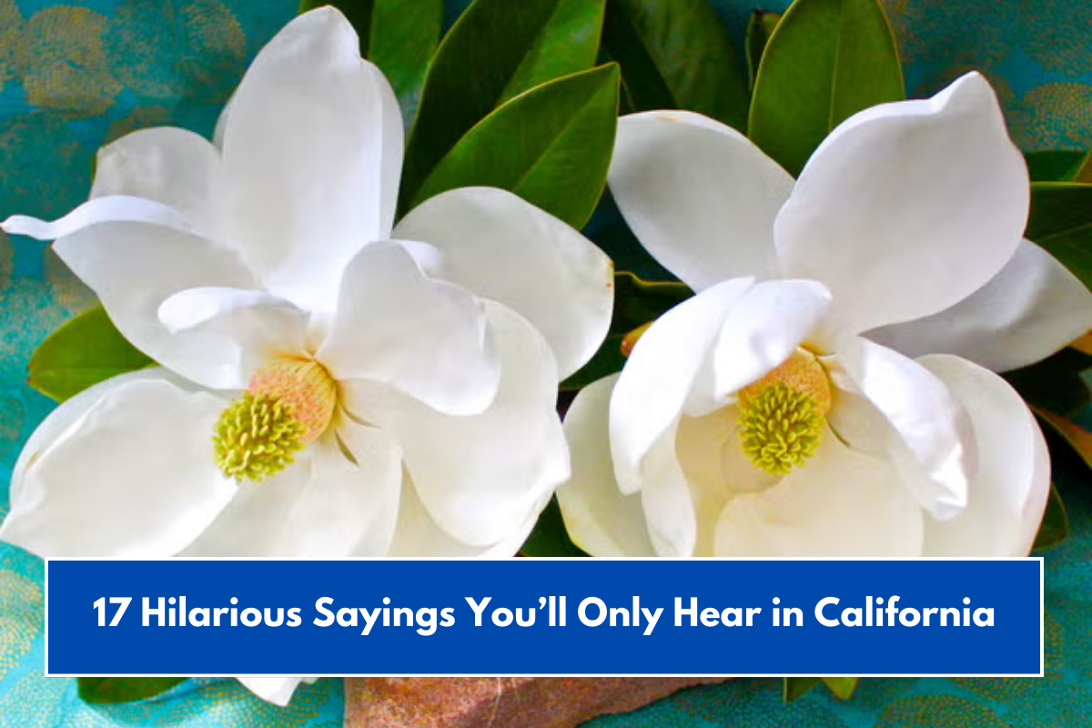 17 Hilarious Sayings You’ll Only Hear in California