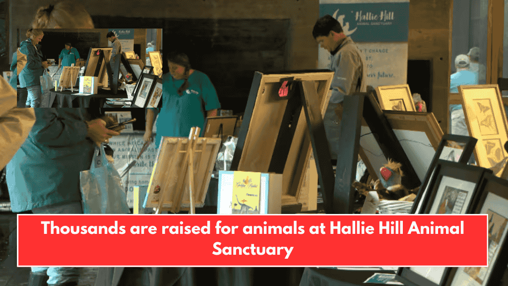Thousands are raised for animals at Hallie Hill Animal Sanctuary