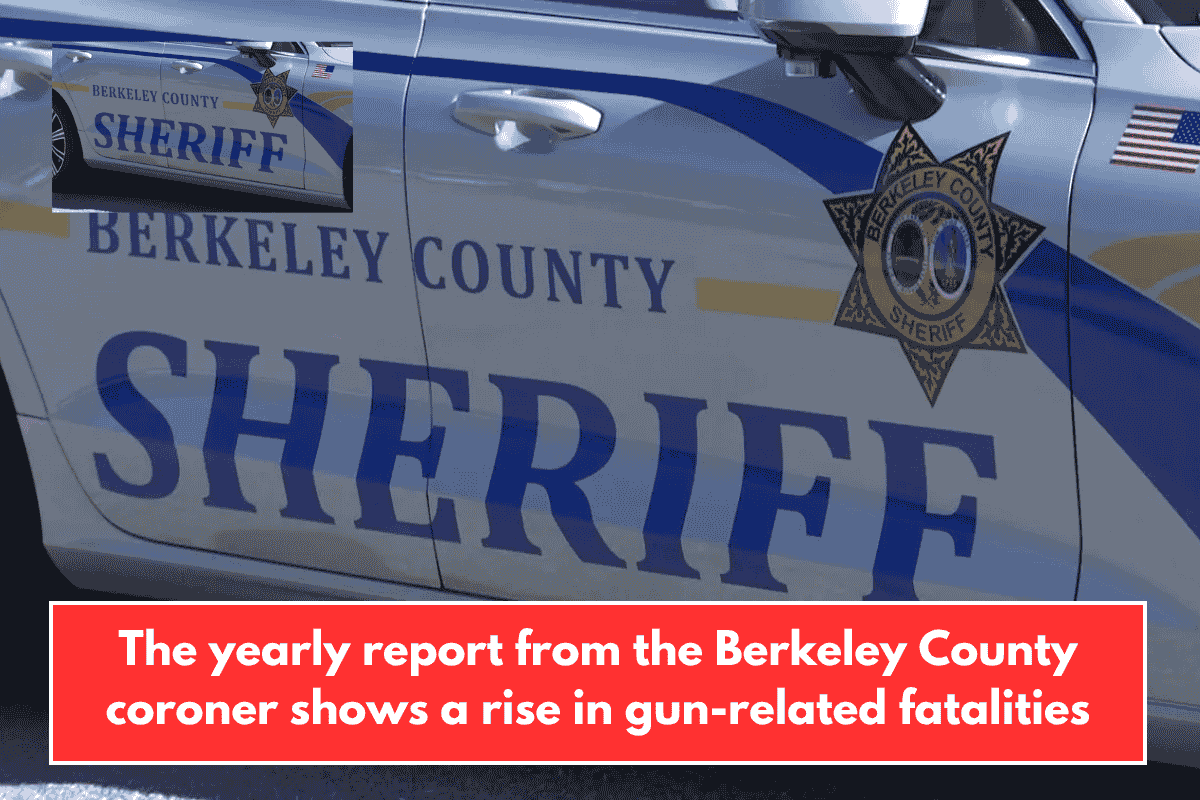 The yearly report from the Berkeley County coroner shows a rise in gun-related fatalities