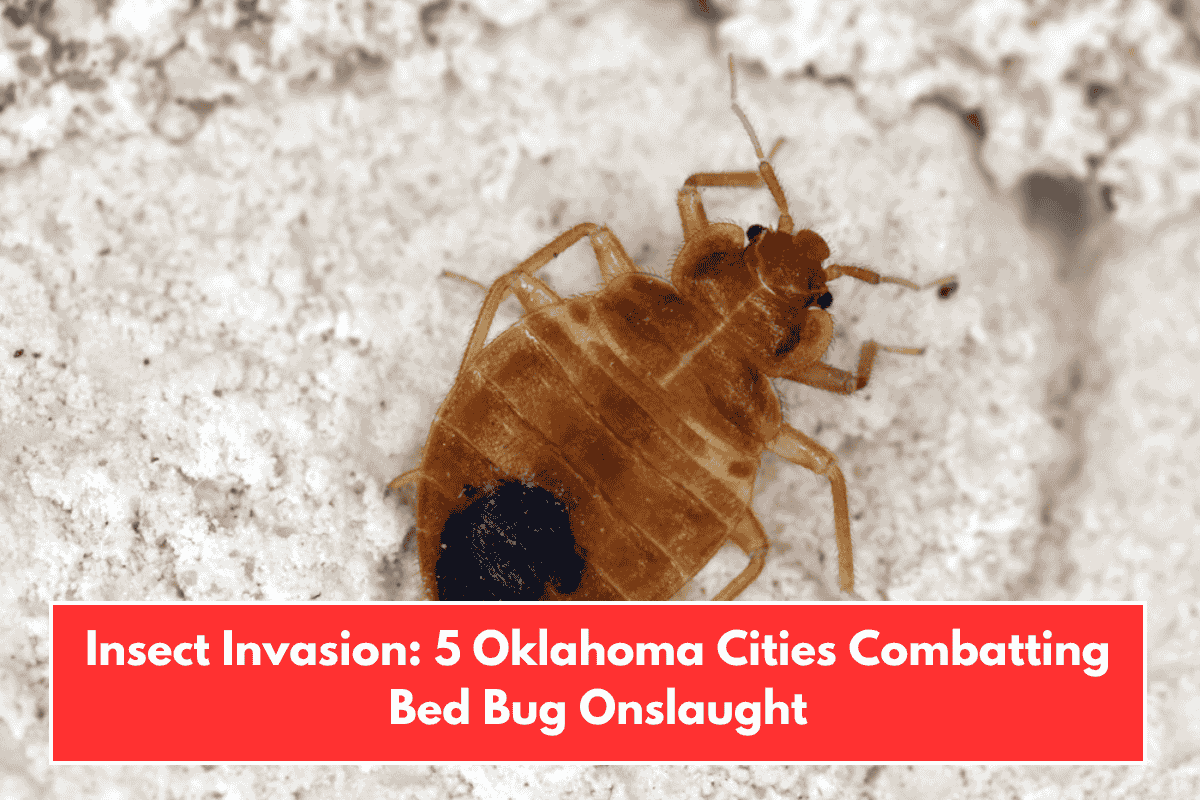 Insect Invasion: 5 Oklahoma Cities Combatting Bed Bug Onslaught