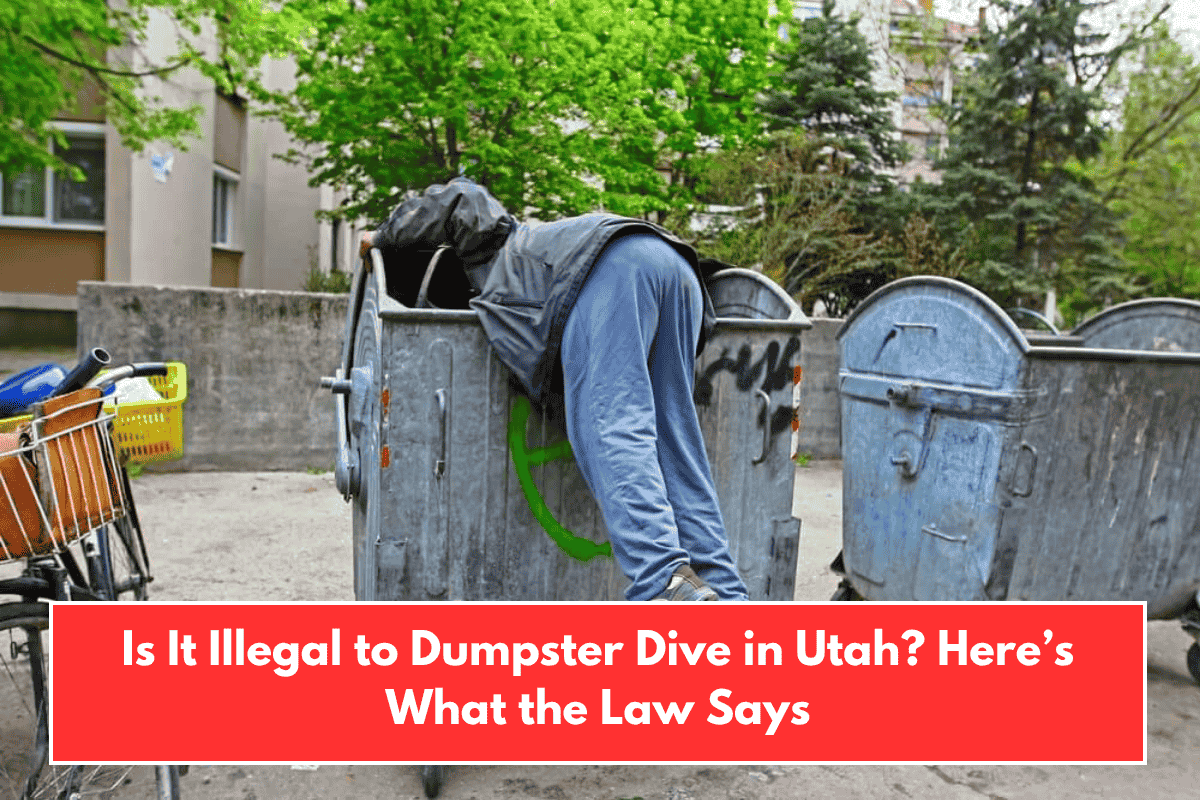 Is It Illegal to Dumpster Dive in Utah? Here’s What the Law Says