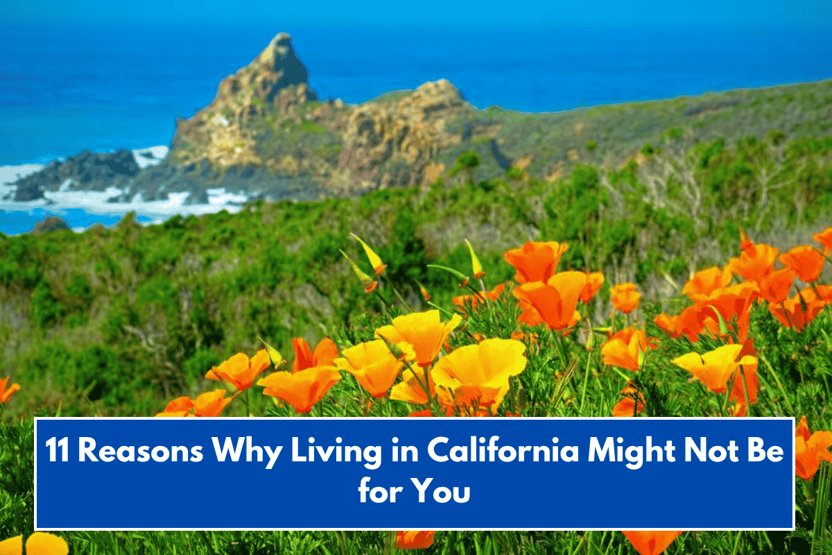 11 Reasons Why Living in California Might Not Be for You