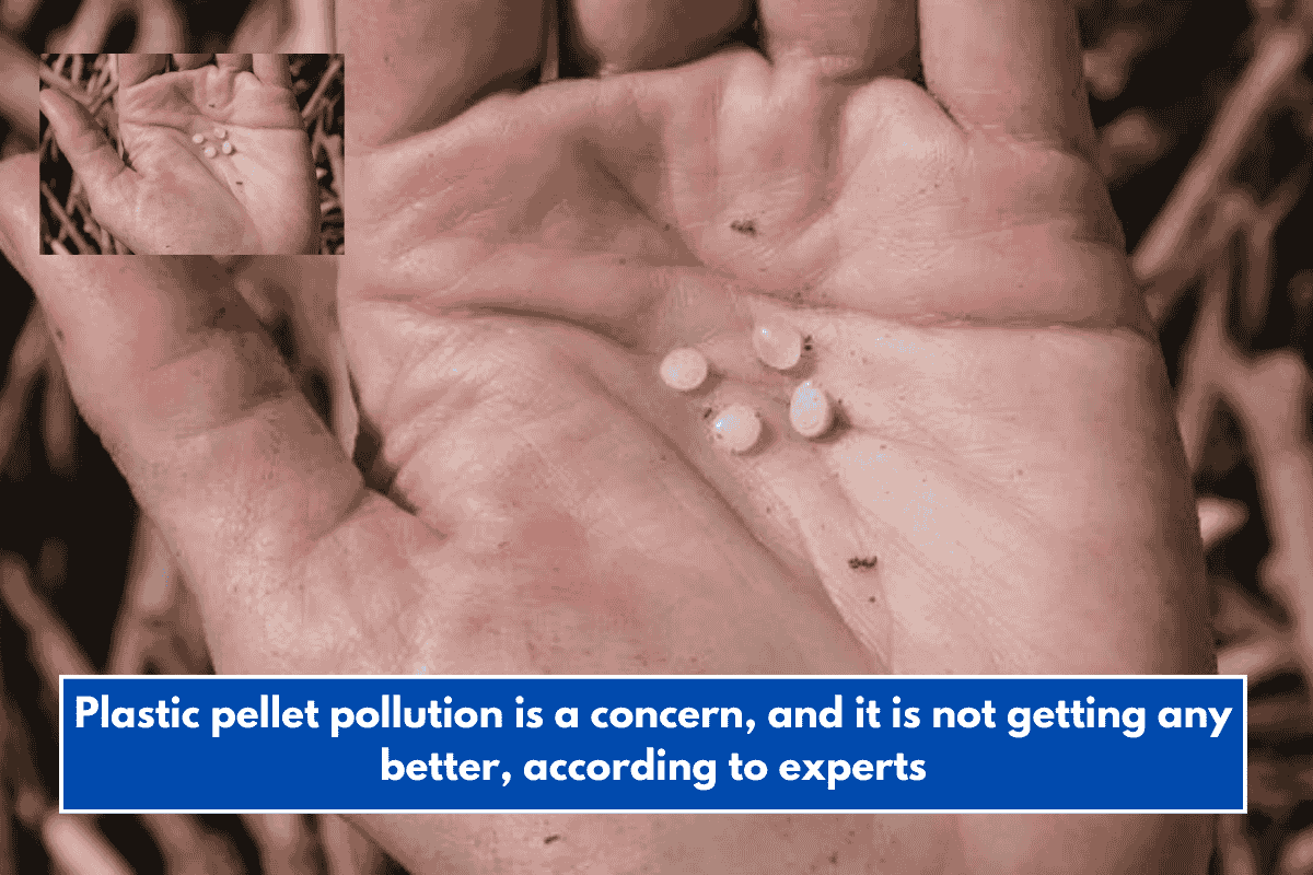Plastic pellet pollution is a concern, and it is not getting any better, according to experts