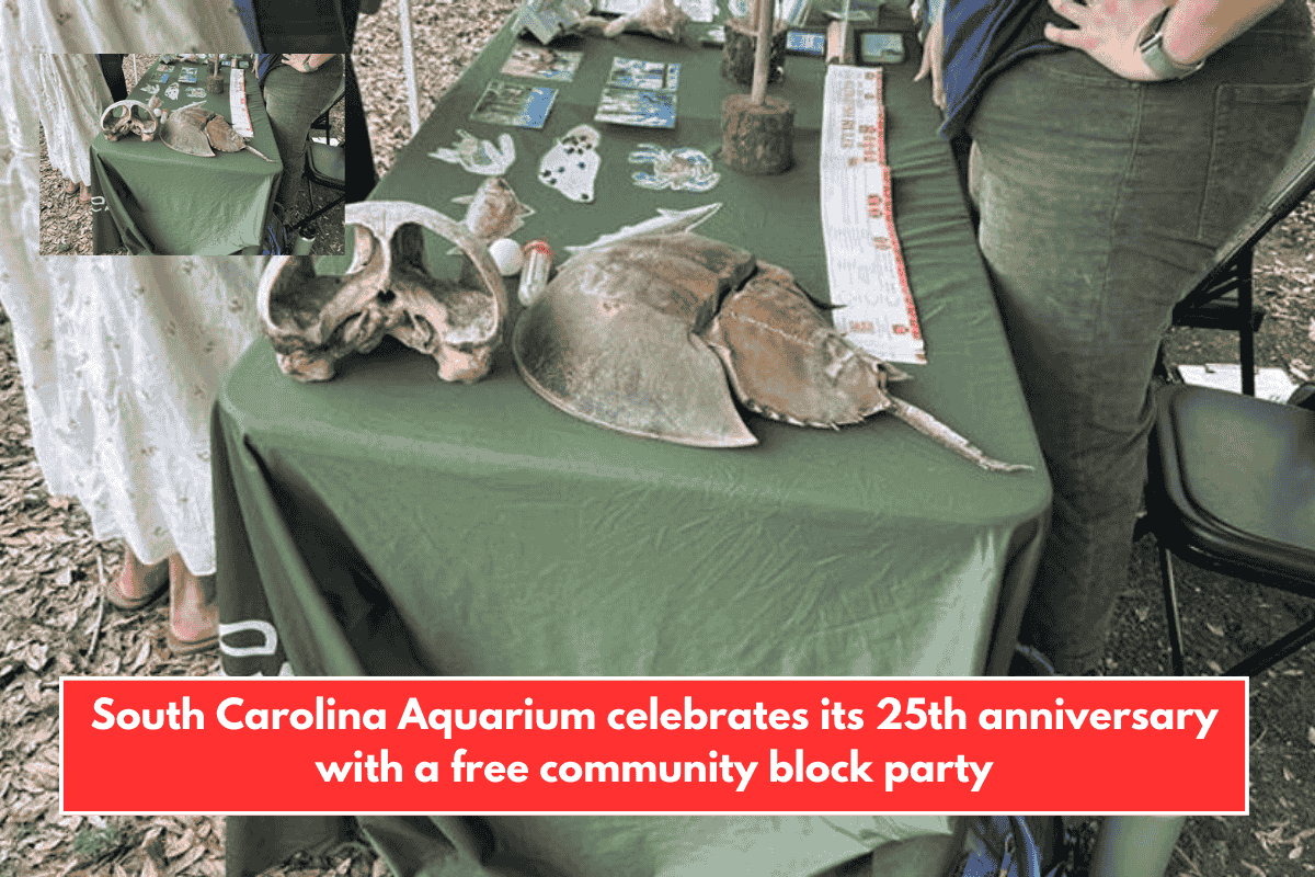 South Carolina Aquarium celebrates its 25th anniversary with a free community block party