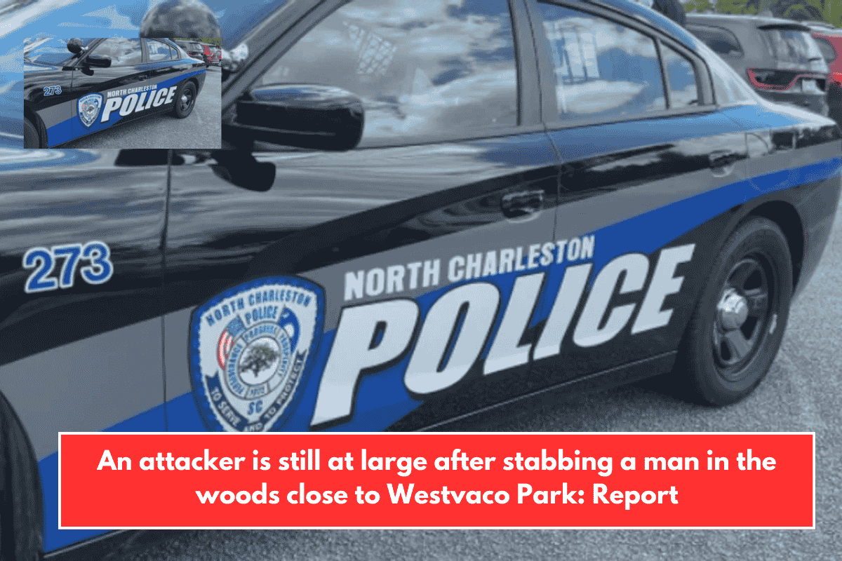 An attacker is still at large after stabbing a man in the woods close to Westvaco Park: Report