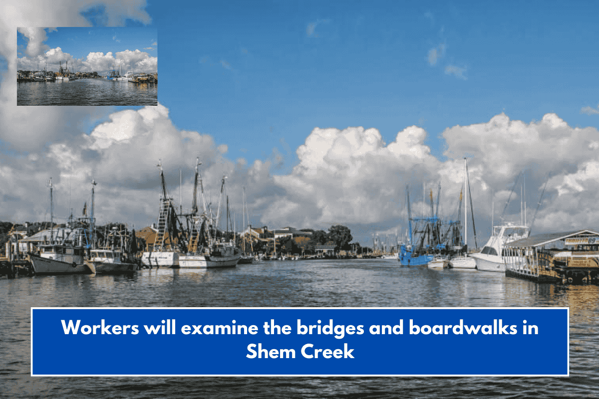 Workers will examine the bridges and boardwalks in Shem Creek