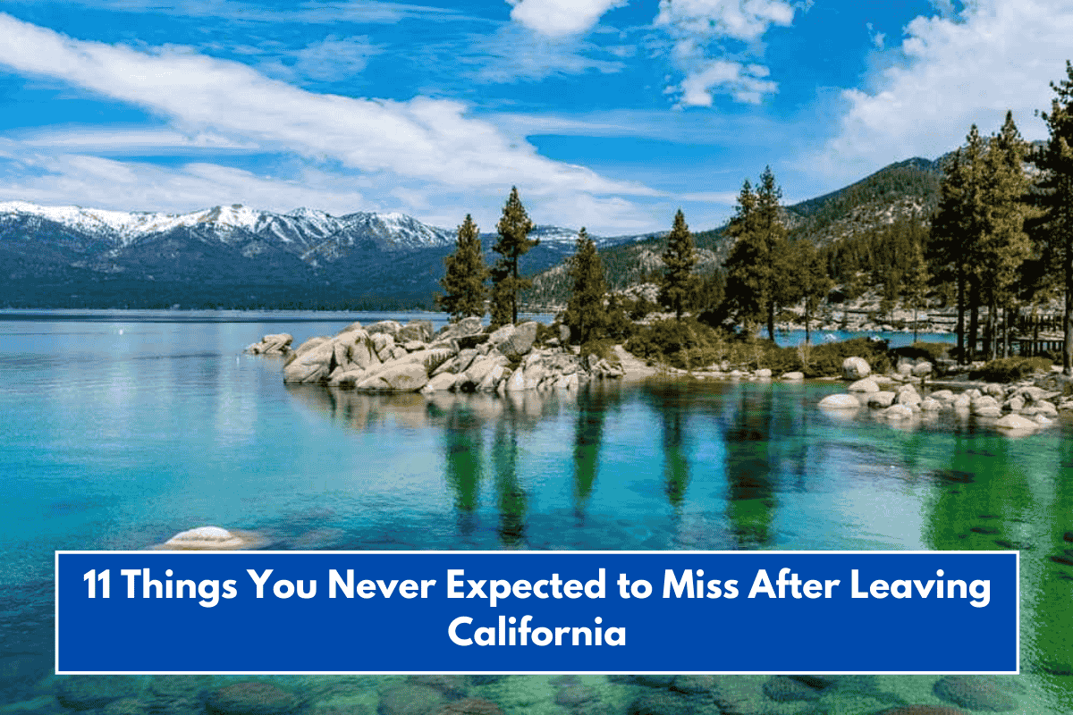 11 Things You Never Expected to Miss After Leaving California