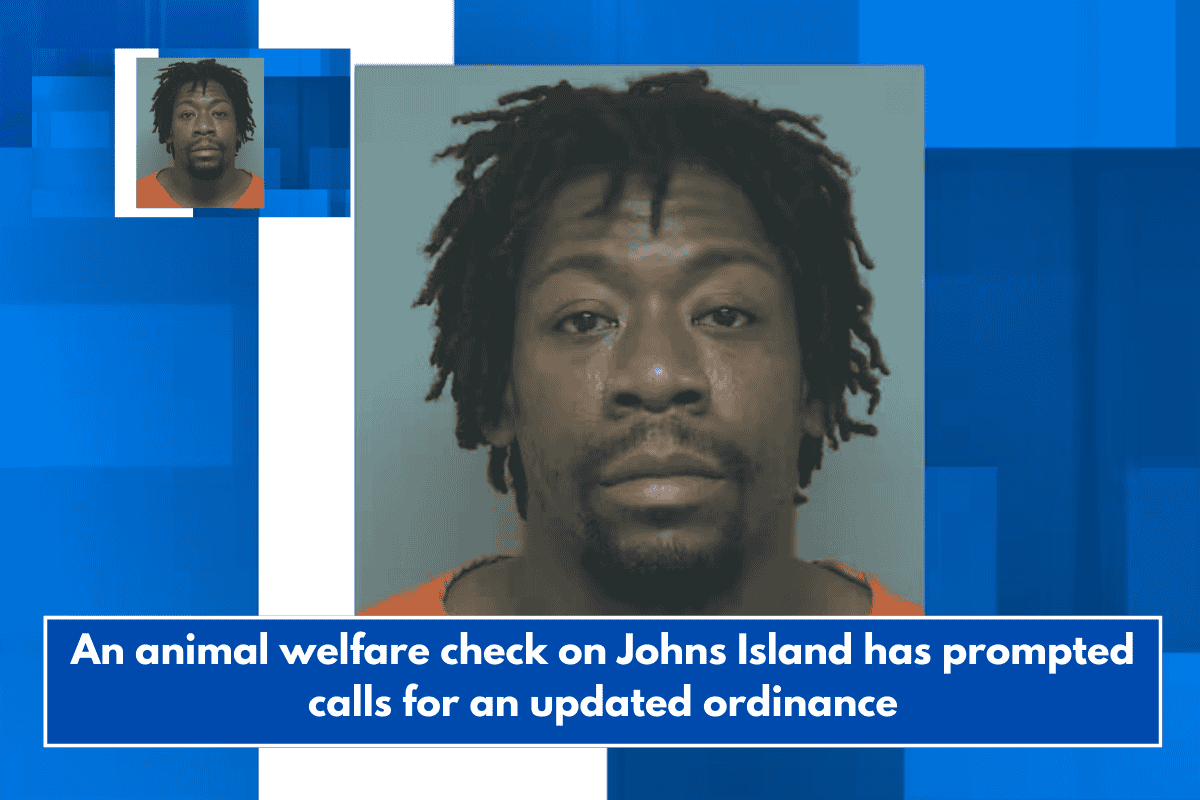 An animal welfare check on Johns Island has prompted calls for an updated ordinance