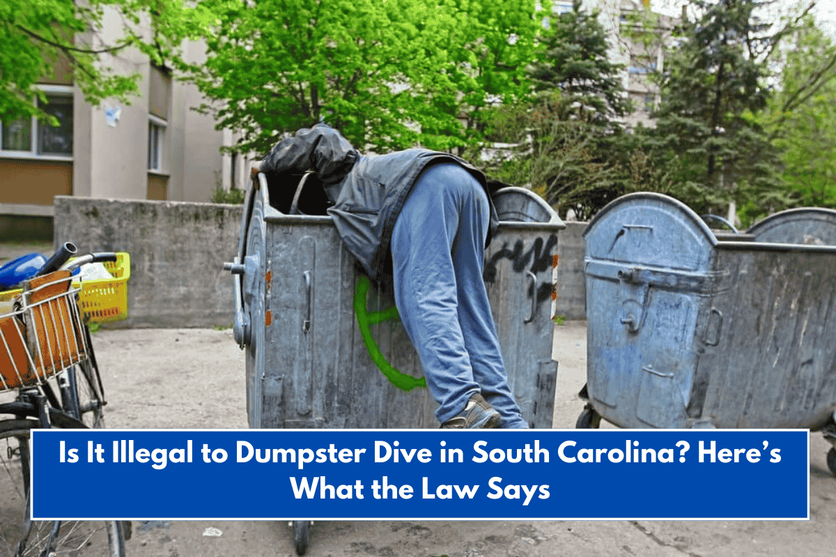 Is It Illegal to Dumpster Dive in South Carolina? Here’s What the Law Says
