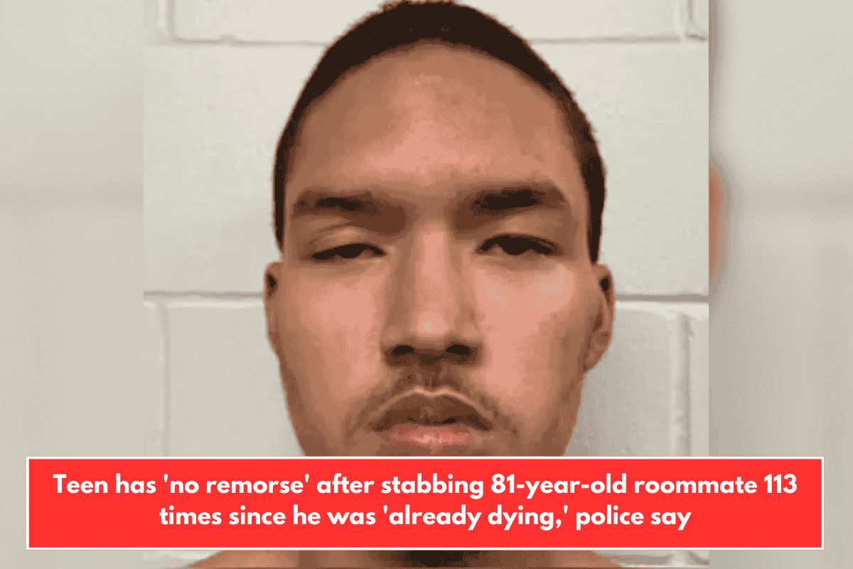 Teen has 'no remorse' after stabbing 81-year-old roommate 113 times since he was 'already dying,' police say