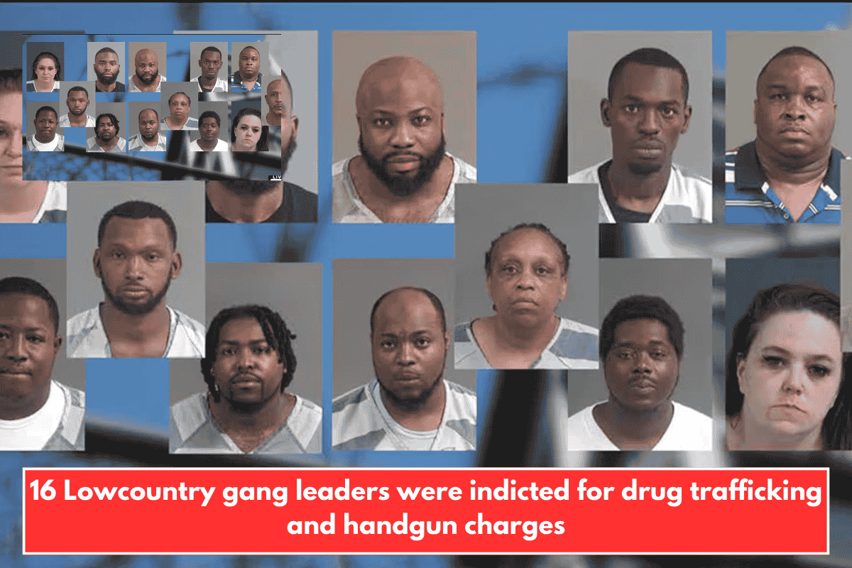 16 Lowcountry gang leaders were indicted for drug trafficking and handgun charges
