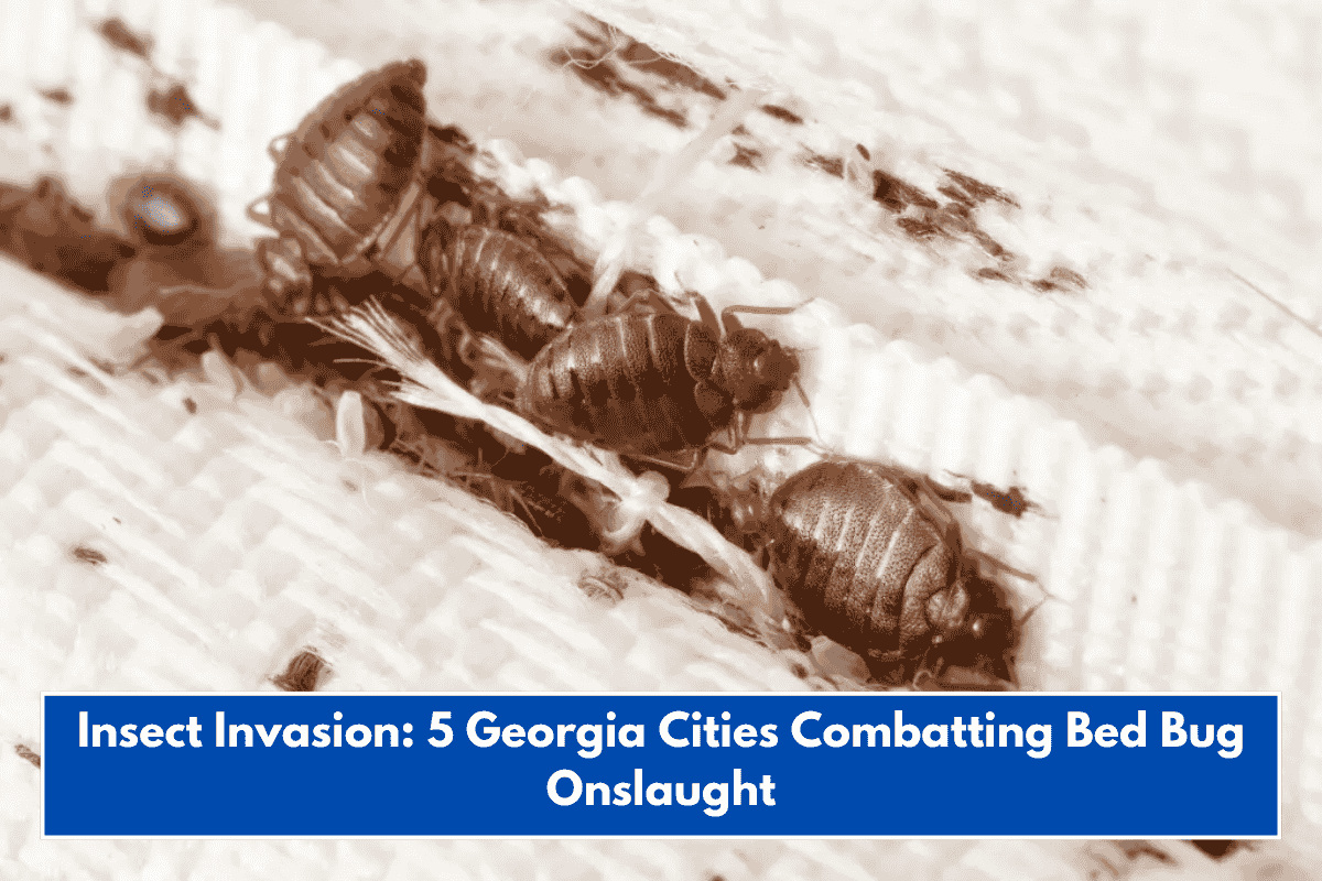Insect Invasion: 5 Georgia Cities Combatting Bed Bug Onslaught
