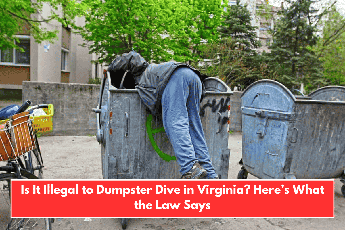 Is It Illegal to Dumpster Dive in Virginia? Here’s What the Law Says