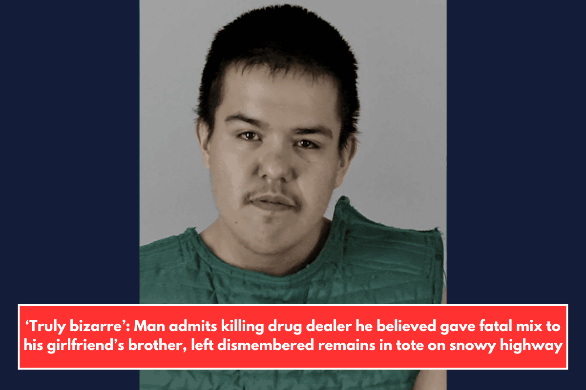 ‘Truly bizarre’: Man admits killing drug dealer he believed gave fatal mix to his girlfriend’s brother, left dismembered remains in tote on snowy highway