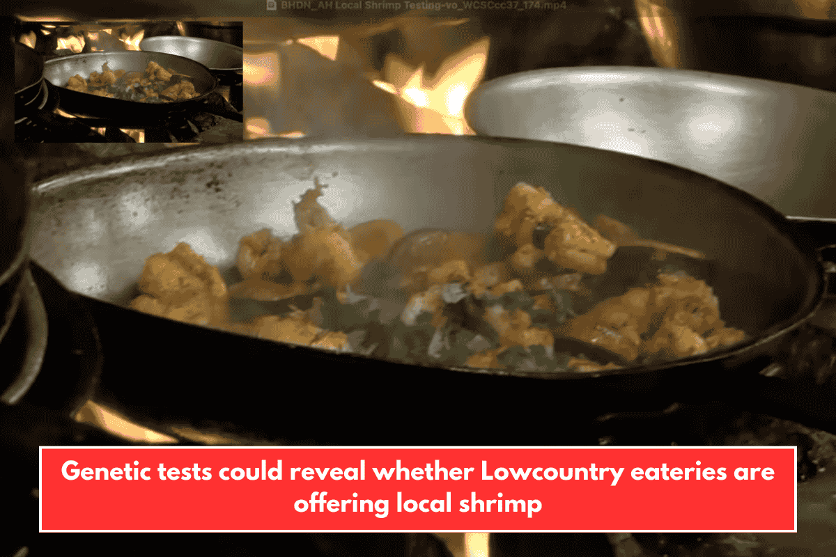 Genetic tests could reveal whether Lowcountry eateries are offering local shrimp