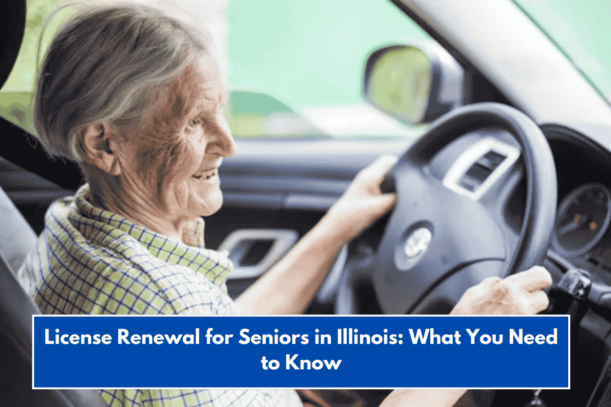 License Renewal for Seniors in Illinois: What You Need to Know
