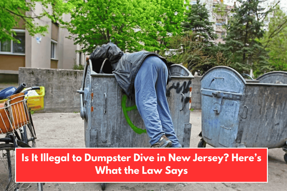 Is It Illegal to Dumpster Dive in New Jersey? Here’s What the Law Says