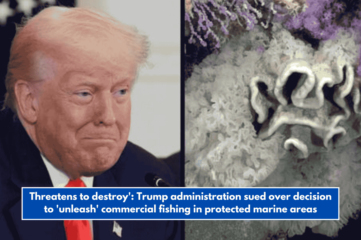 Threatens to destroy': Trump administration sued over decision to 'unleash' commercial fishing in protected marine areas