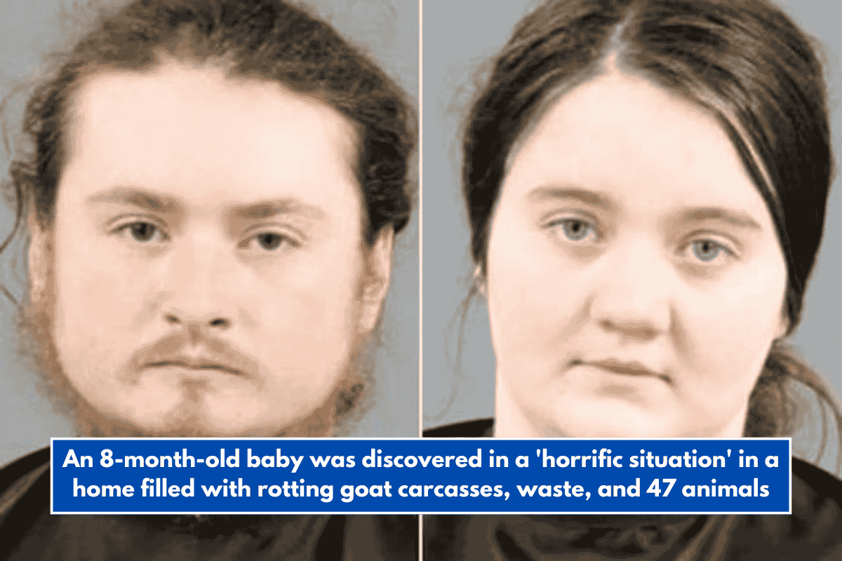 An 8-month-old baby was discovered in a 'horrific situation' in a home filled with rotting goat carcasses, waste, and 47 animals