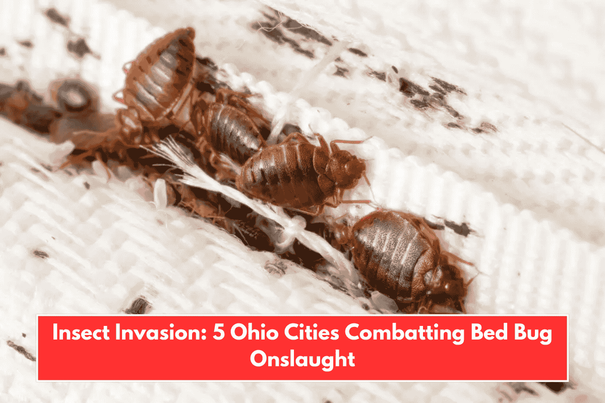 Insect Invasion: 5 Ohio Cities Combatting Bed Bug Onslaught