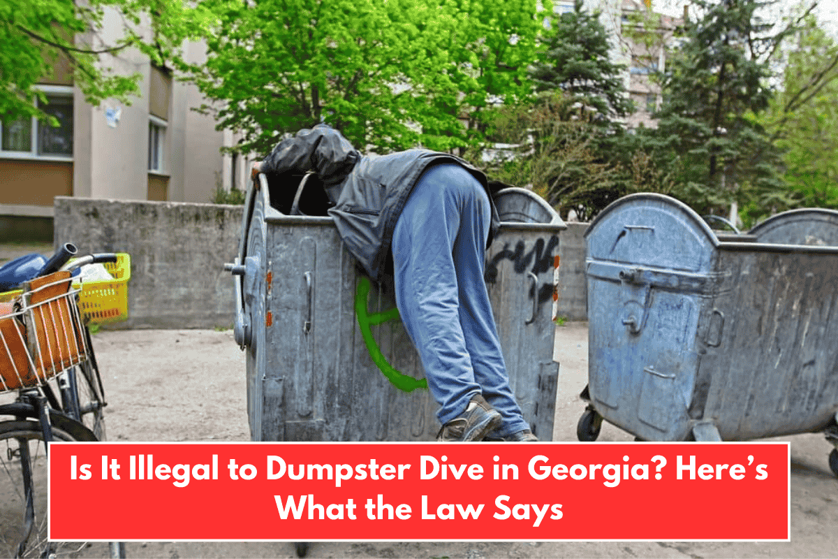 Is It Illegal to Dumpster Dive in Georgia? Here’s What the Law Says