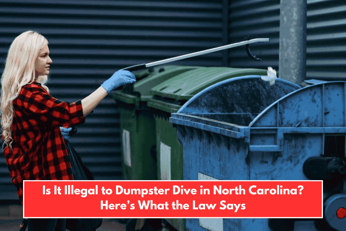 Is It Illegal to Dumpster Dive in North Carolina? Here’s What the Law Says