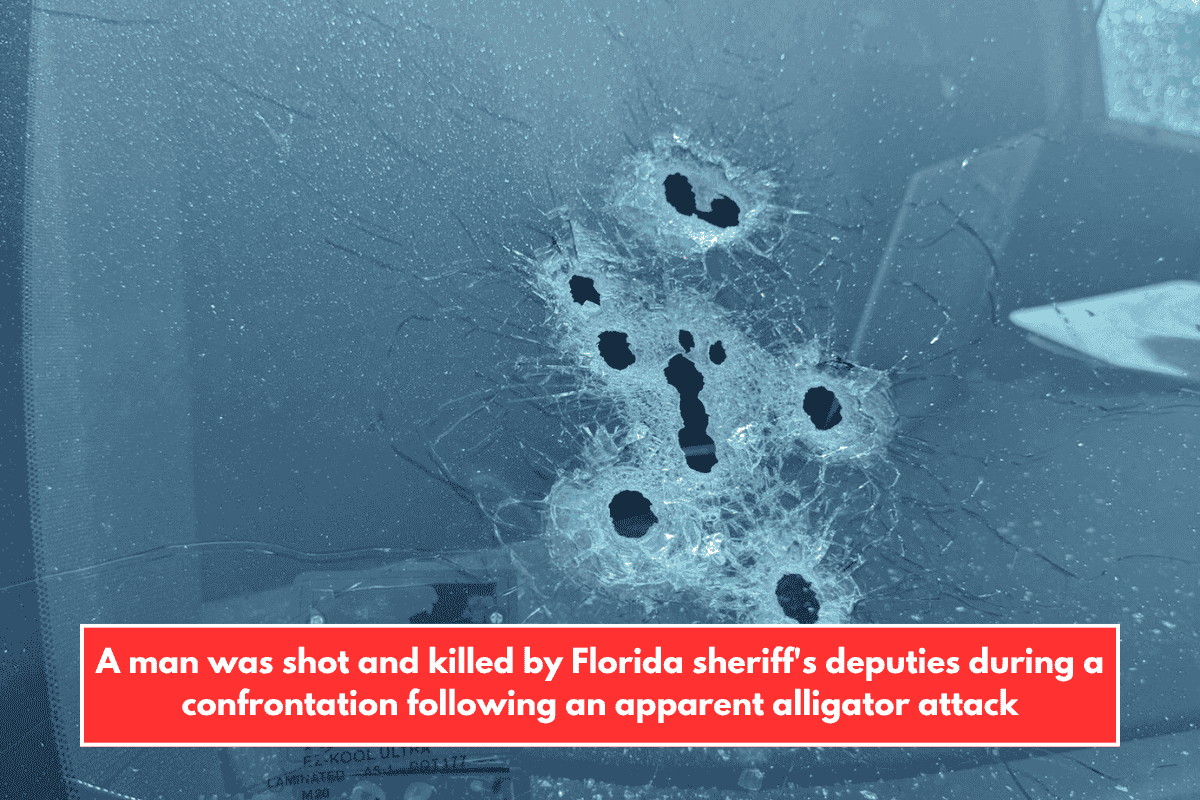 A man was shot and killed by Florida sheriff's deputies during a confrontation following an apparent alligator attack