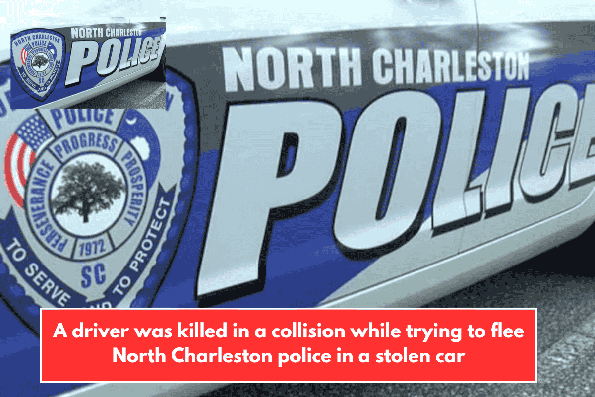 A driver was killed in a collision while trying to flee North Charleston police in a stolen car