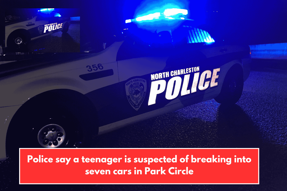 Police say a teenager is suspected of breaking into seven cars in Park Circle