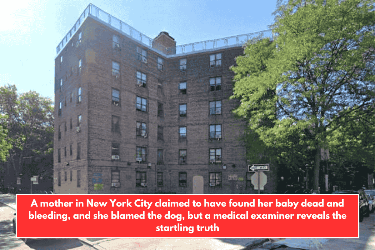 A mother in New York City claimed to have found her baby dead and bleeding, and she blamed the dog, but a medical examiner reveals the startling truth
