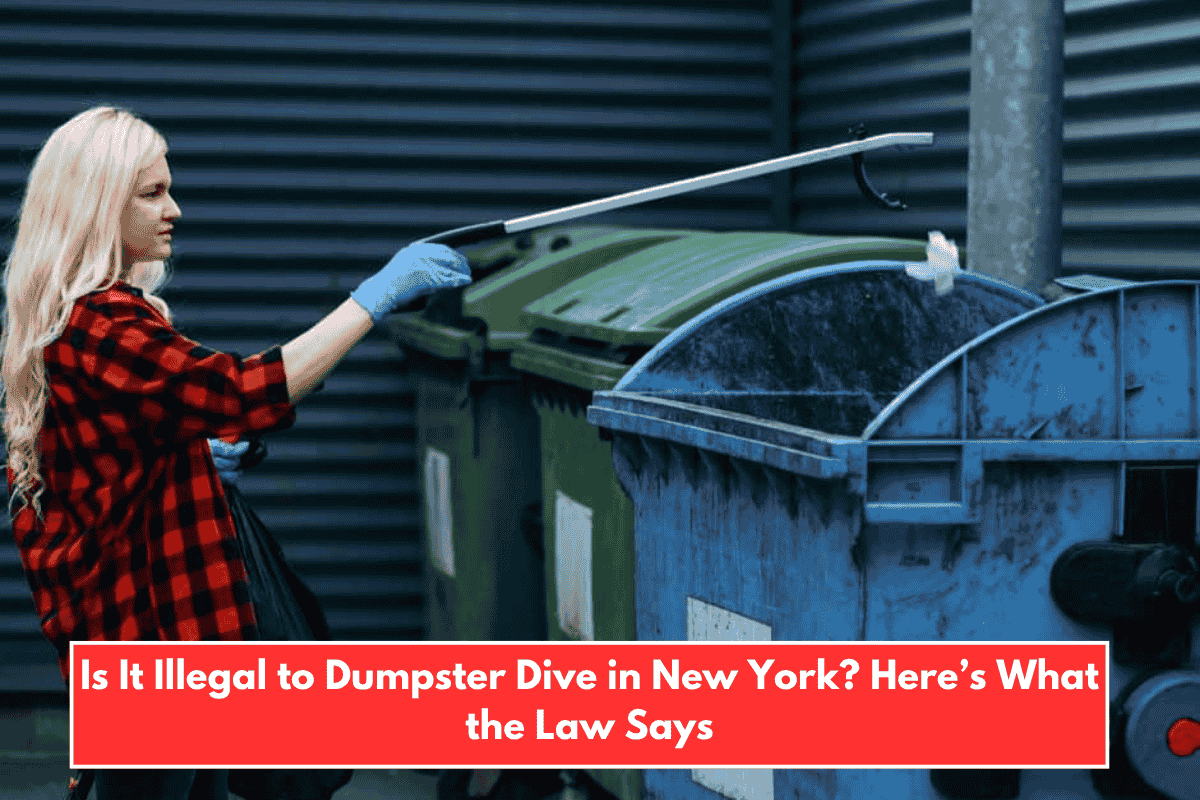Is It Illegal to Dumpster Dive in New York? Here’s What the Law Says