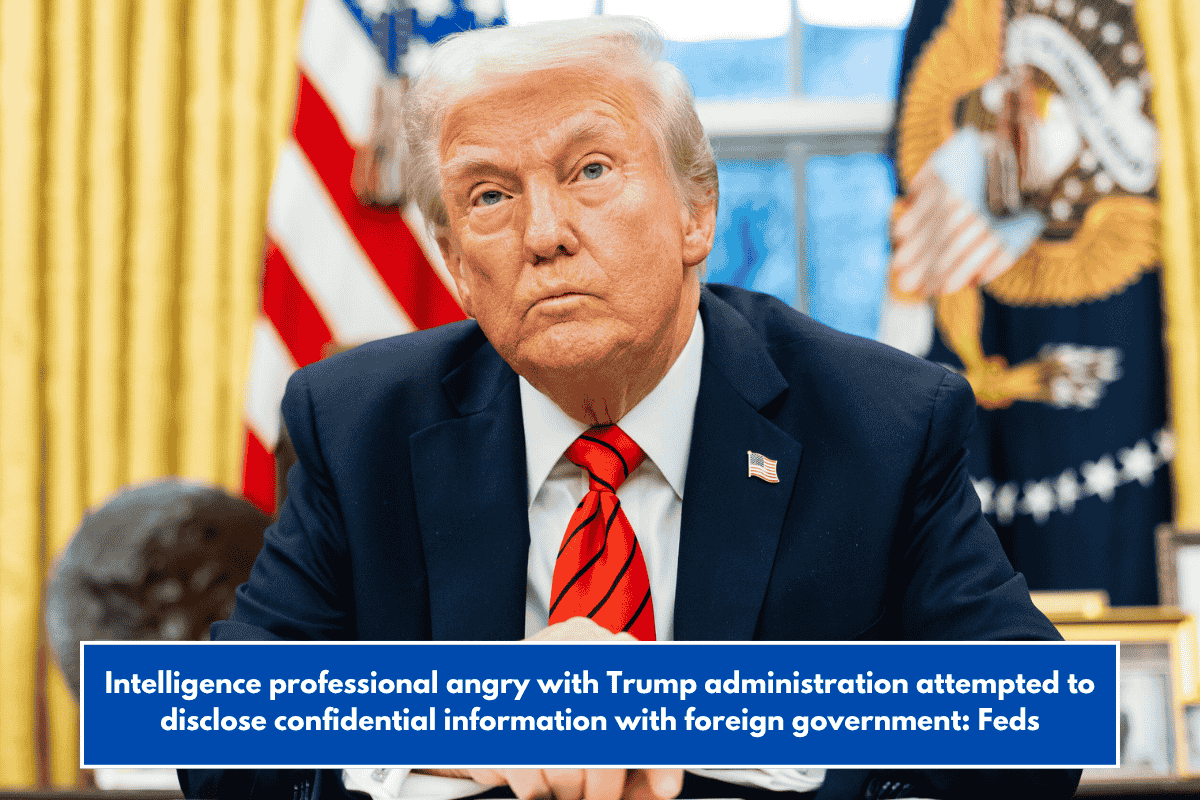 Intelligence professional angry with Trump administration attempted to disclose confidential information with foreign government: Feds