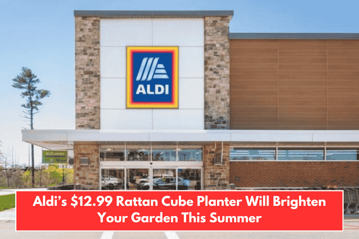 Aldi’s $12.99 Rattan Cube Planter Will Brighten Your Garden This Summer
