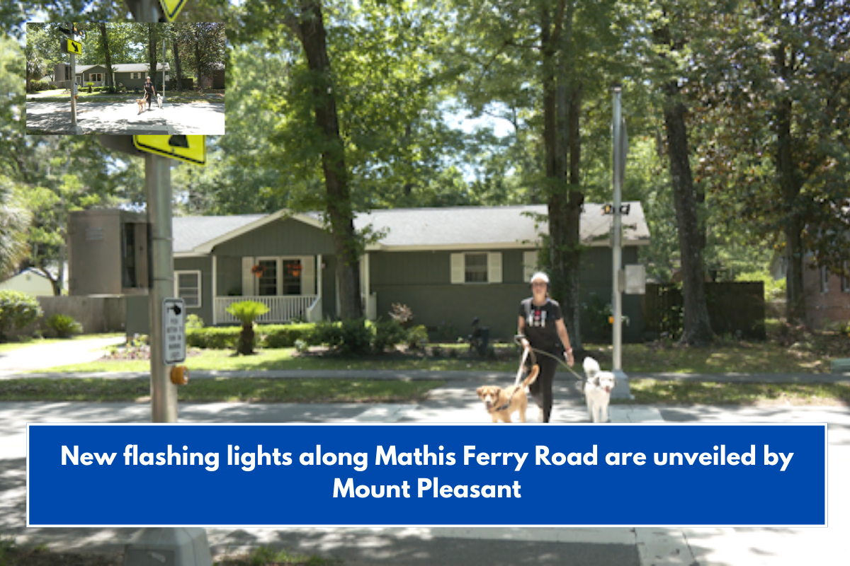New flashing lights along Mathis Ferry Road are unveiled by Mount Pleasant