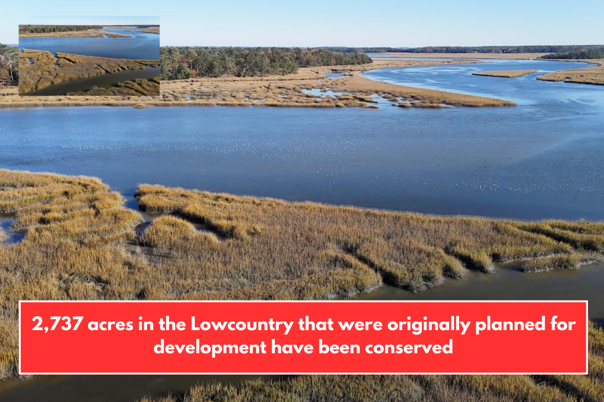 2,737 acres in the Lowcountry that were originally planned for development have been conserved