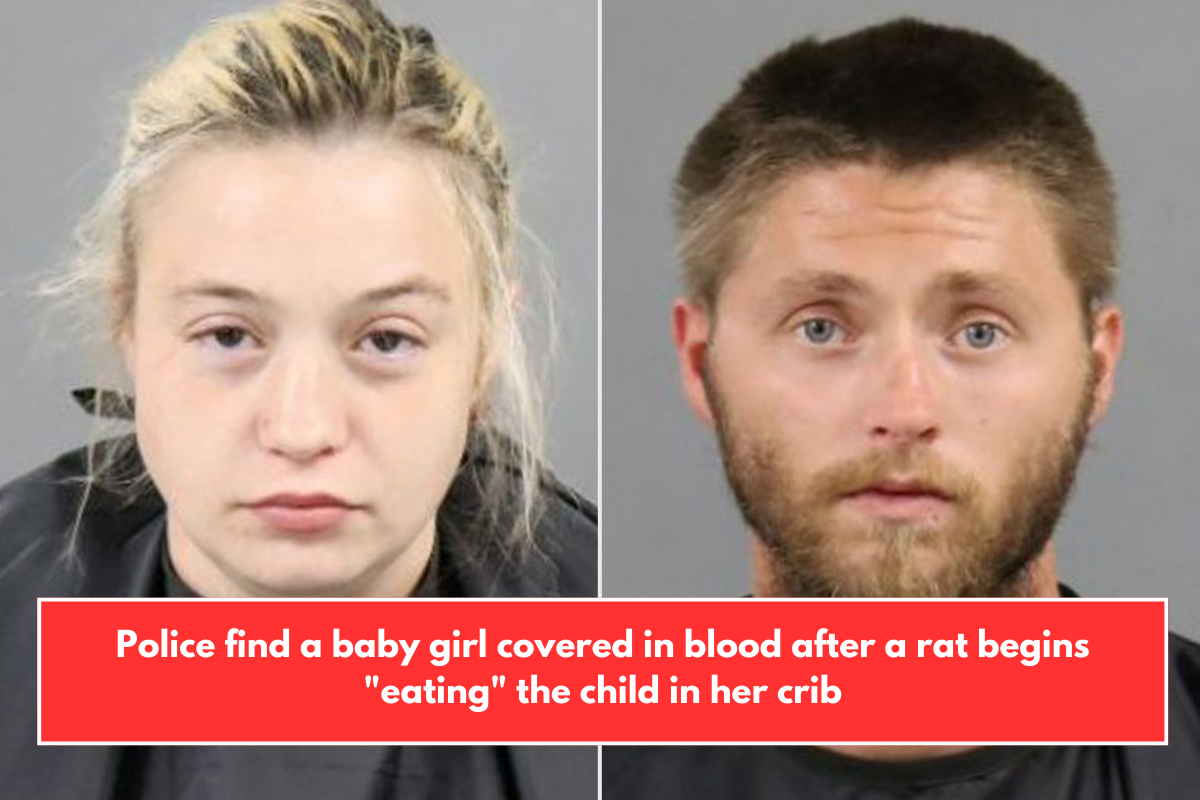 Police find a baby girl covered in blood after a rat begins "eating" the child in her crib