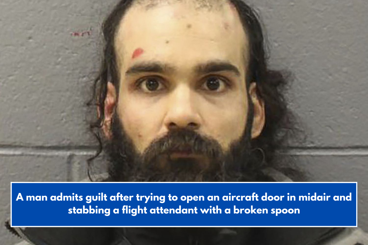 A man admits guilt after trying to open an aircraft door in midair and stabbing a flight attendant with a broken spoon