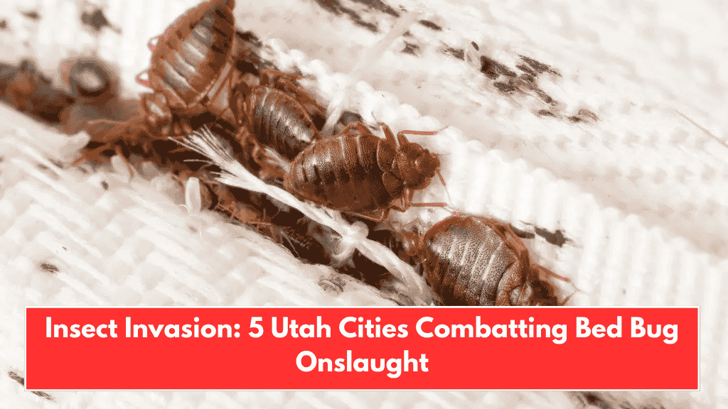 Insect Invasion: 5 Utah Cities Combatting Bed Bug Onslaught