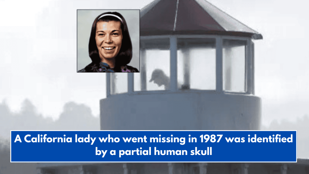A California lady who went missing in 1987 was identified by a partial human skull