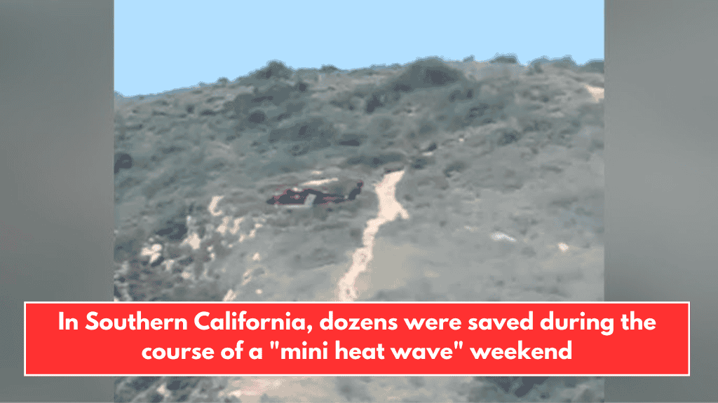 In Southern California, dozens were saved during the course of a "mini heat wave" weekend