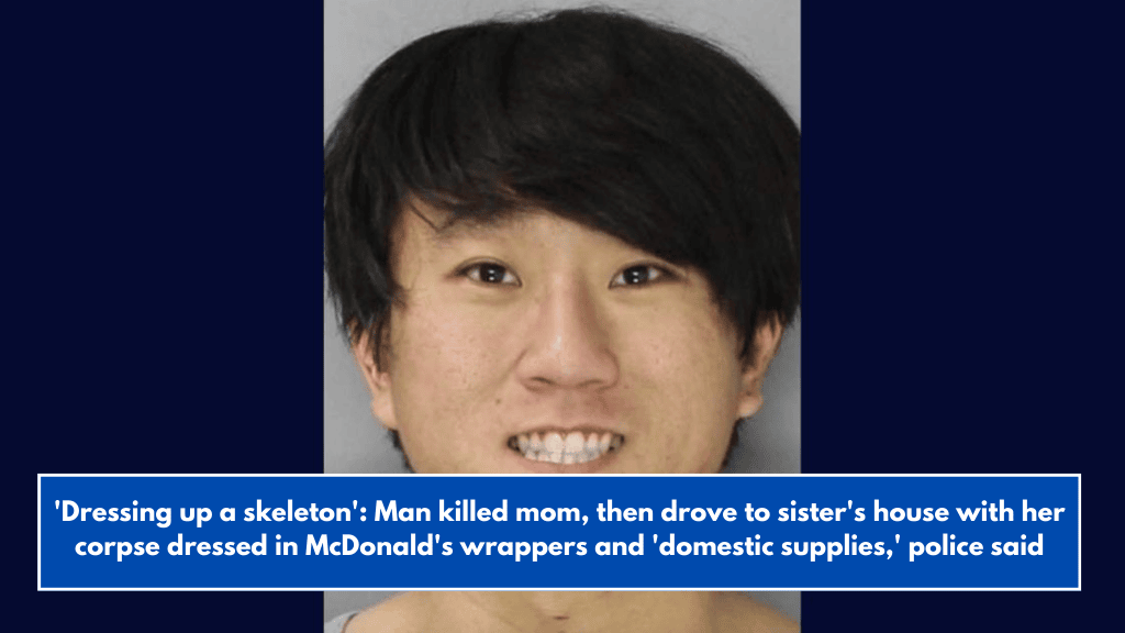 'Dressing up a skeleton': Man killed mom, then drove to sister's house with her corpse dressed in McDonald's wrappers and 'domestic supplies,' police said