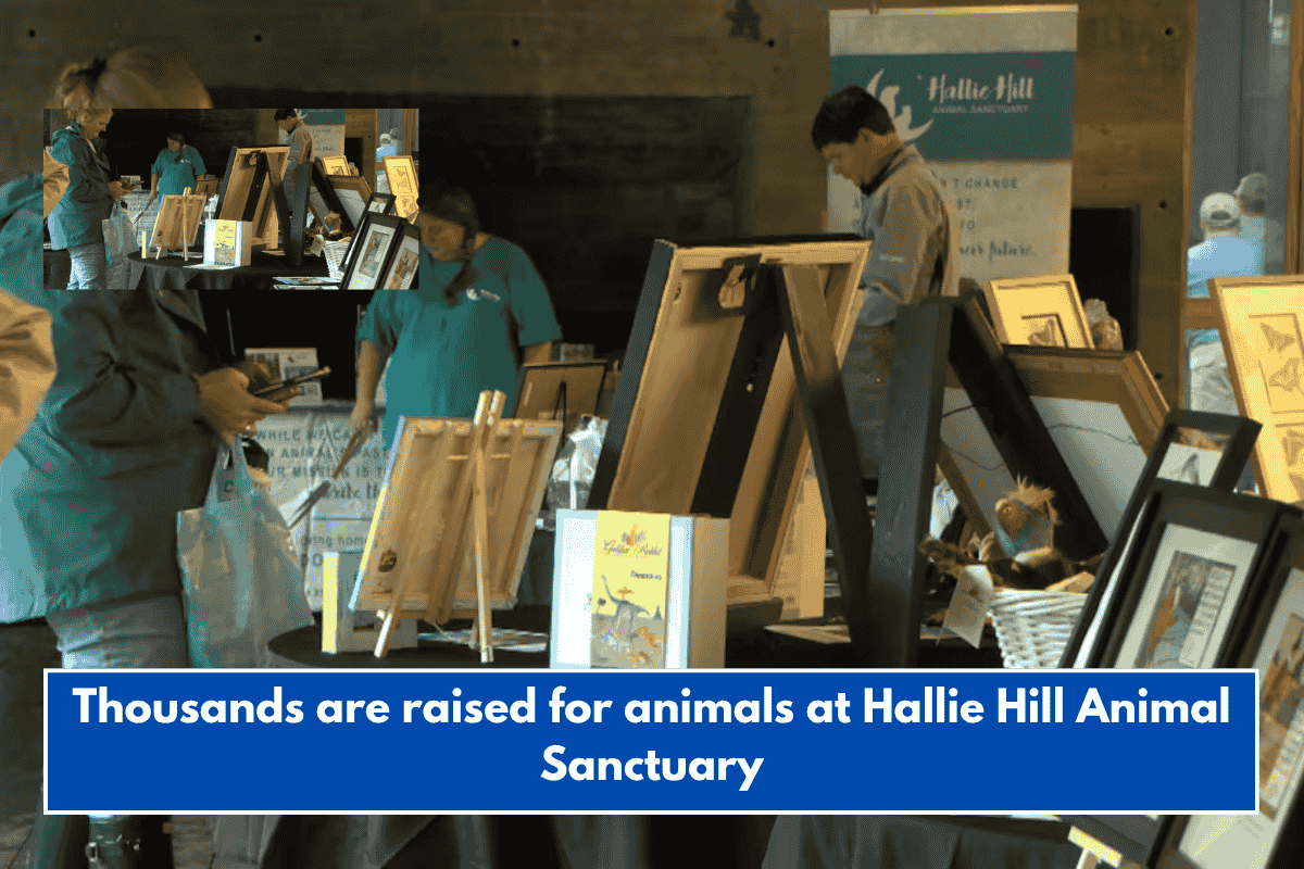Thousands are raised for animals at Hallie Hill Animal Sanctuary