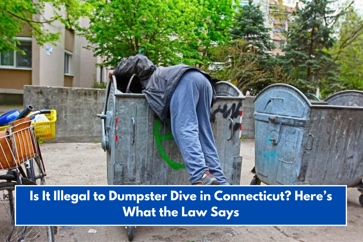 Is It Illegal to Dumpster Dive in Connecticut? Here’s What the Law Says