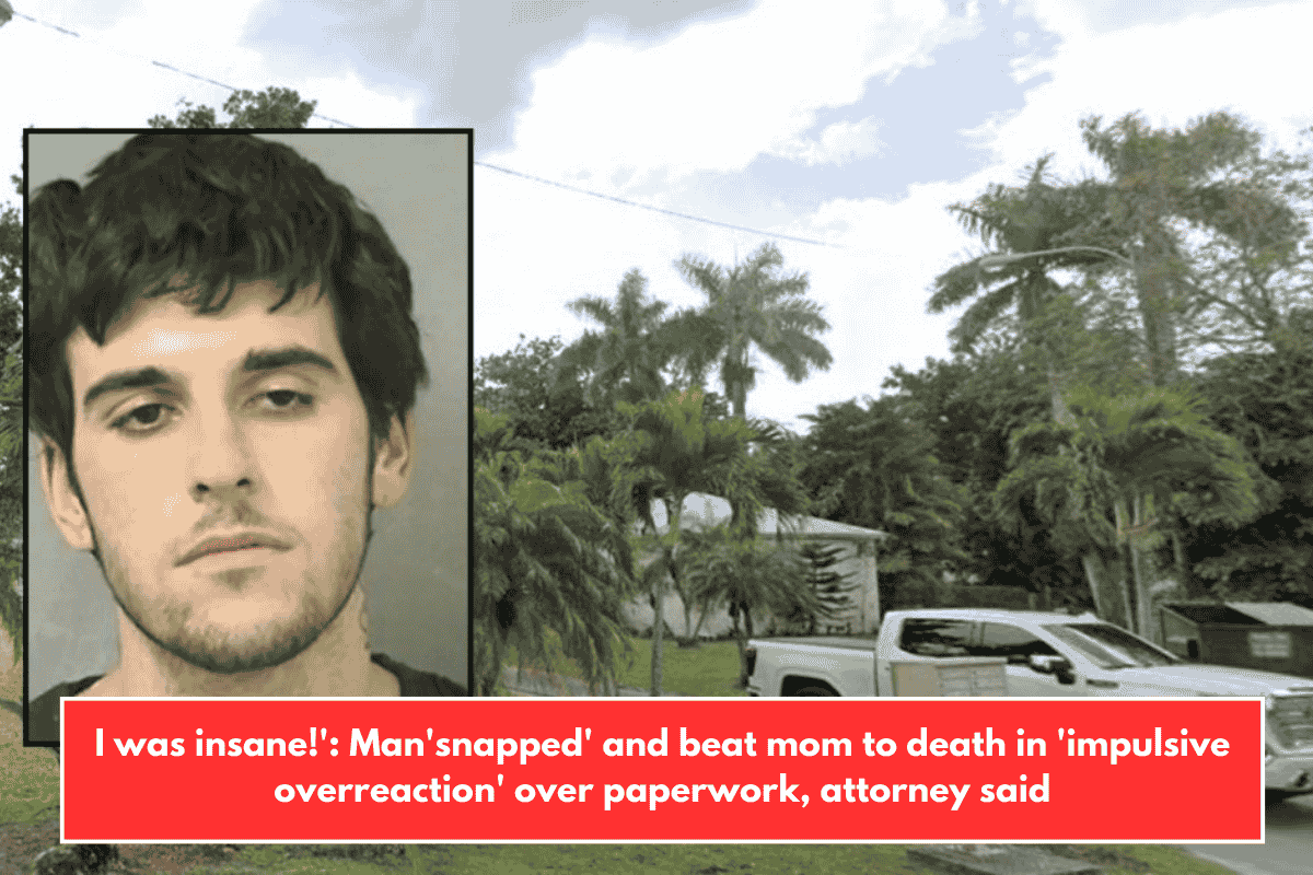 I was insane!': Man'snapped' and beat mom to death in 'impulsive overreaction' over paperwork, attorney said