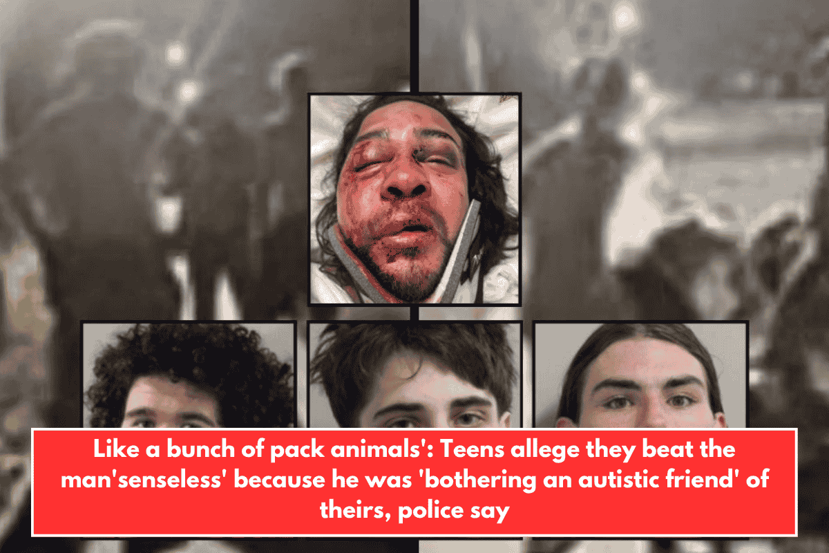 Like a bunch of pack animals': Teens allege they beat the man'senseless' because he was 'bothering an autistic friend' of theirs, police say