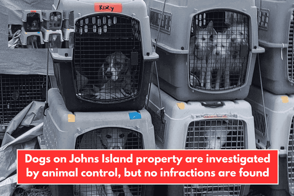 Dogs on Johns Island property are investigated by animal control, but no infractions are found