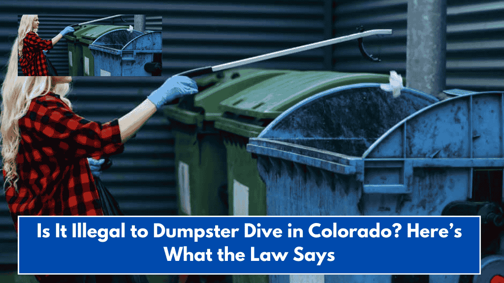 Is It Illegal to Dumpster Dive in Colorado? Here’s What the Law Says
